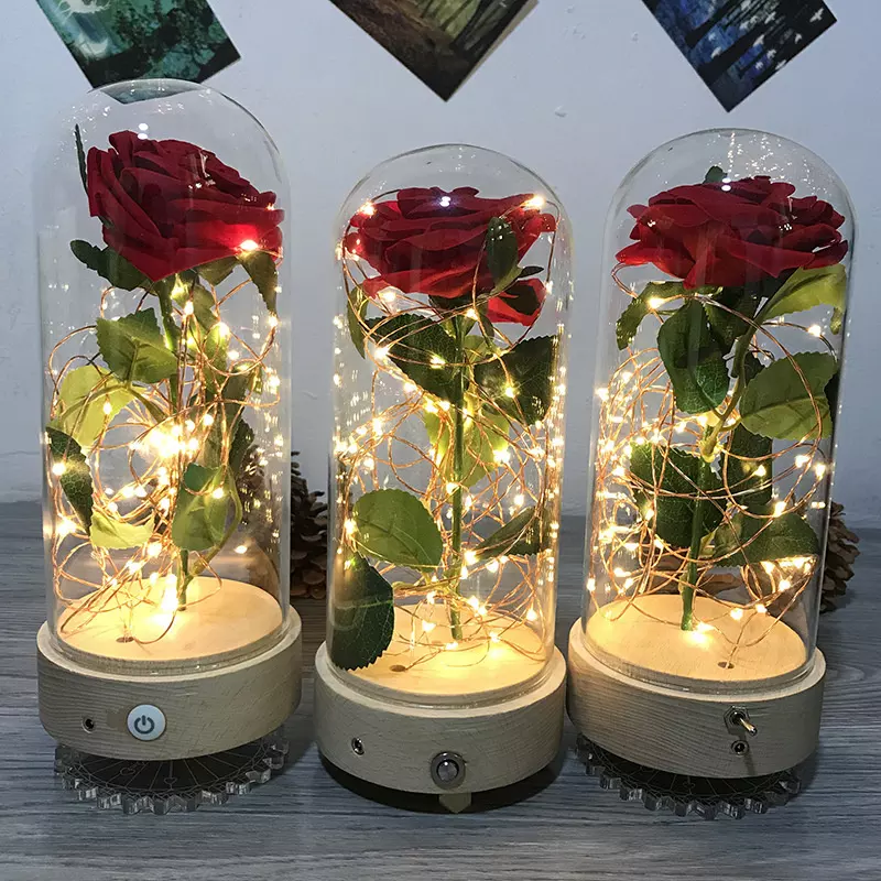 lamp series  $14.08