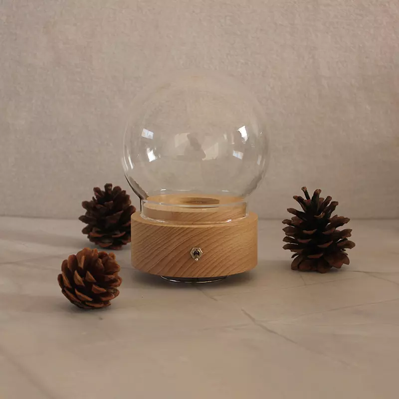 lamp series $11.91