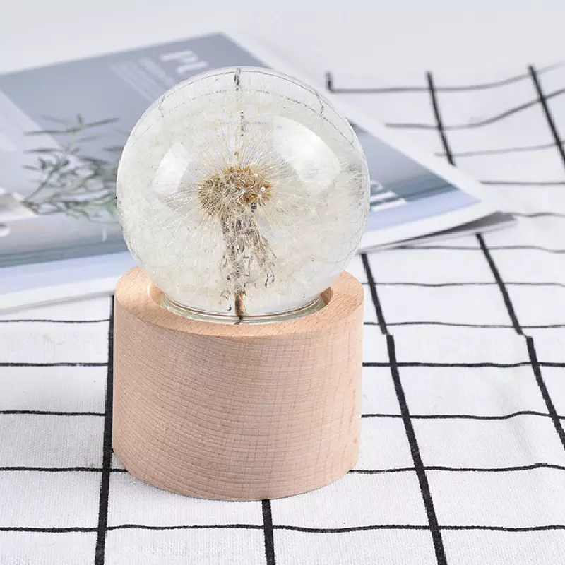 lamp series $9.10