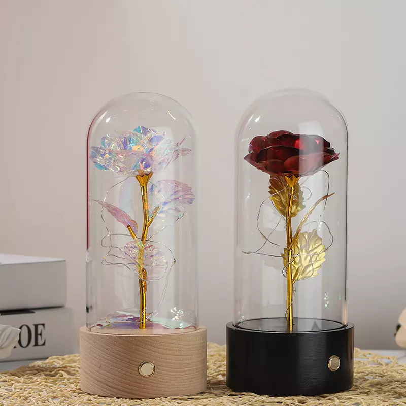 lamp series $16.25