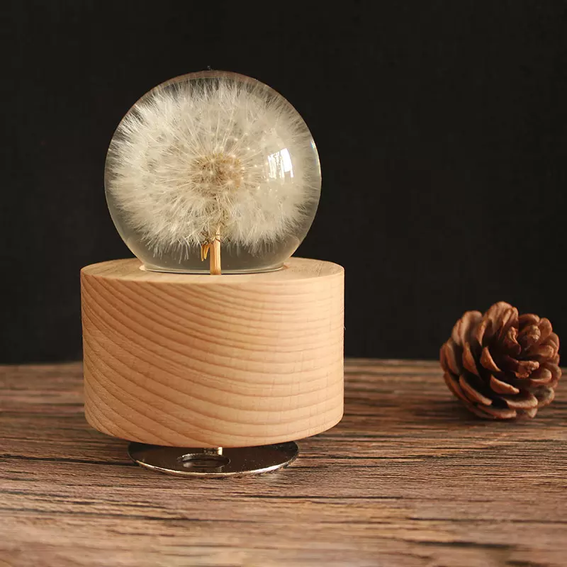 lamp series $12.56