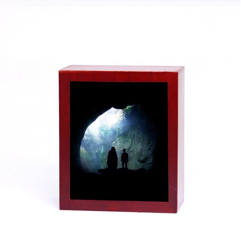 Harry Potter Series 05
